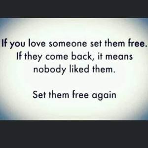 Meet your Posher, Rex